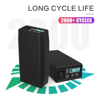 LiFePO4 Battery - LF4106