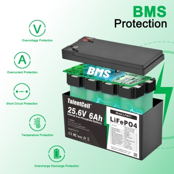 LiFePO4 Battery - LF8011