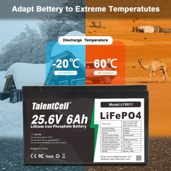 LiFePO4 Battery - LF8011
