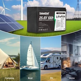 LiFePO4 Battery - LF8011